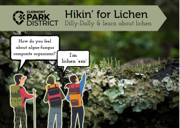 Closeup picture of lichen on a logs, with a ribbon at the top that says Hiking for Lichen. On the bottom is a cartoon of hikers, one says "How do you feel about algae-fungus composite organisms" to wh